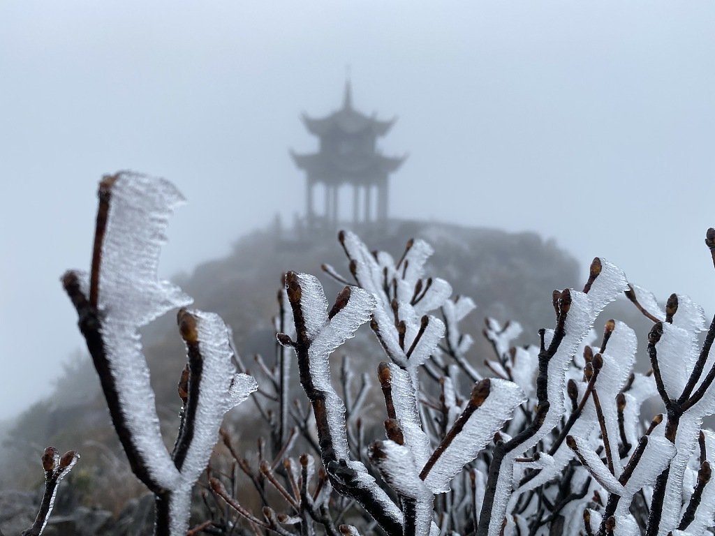 WindowonChina's tweet image. المشهد السحري للأشجار المغطاة بالصقيع في منطقة دونغشي ذات المناظر الخلابة بمقاطعة فوجيان بشرق الصين ، يجذب حشود السياح

 #中國  #China #Window_on_China  #中国之窗 
#الصين  #غرائب #سفر  #سياحة #نافذة_على_الصين