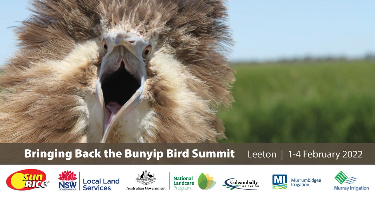 LLSRiverina's tweet photo. Bitterns… one of Australia’s most cryptic species takes centre stage at the 2022 Australasian Bittern Summit! Join us and learn more about the Bunyip Bird and what is being done to support its long-term survival. Tickets @ https://t.co/DpDBLoSJXH https://t.co/l6nptCBgKR