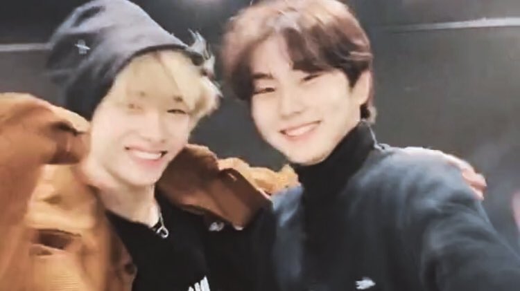 wonkittens's tweet photo. happy 1 year to wonki’s first tiktok. https://t.co/xeeBf7Jxmz