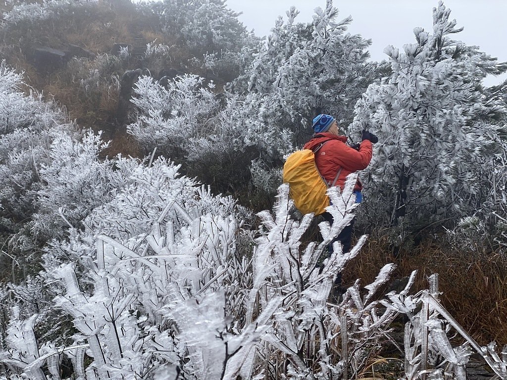 WindowonChina's tweet image. المشهد السحري للأشجار المغطاة بالصقيع في منطقة دونغشي ذات المناظر الخلابة بمقاطعة فوجيان بشرق الصين ، يجذب حشود السياح

 #中國  #China #Window_on_China  #中国之窗 
#الصين  #غرائب #سفر  #سياحة #نافذة_على_الصين