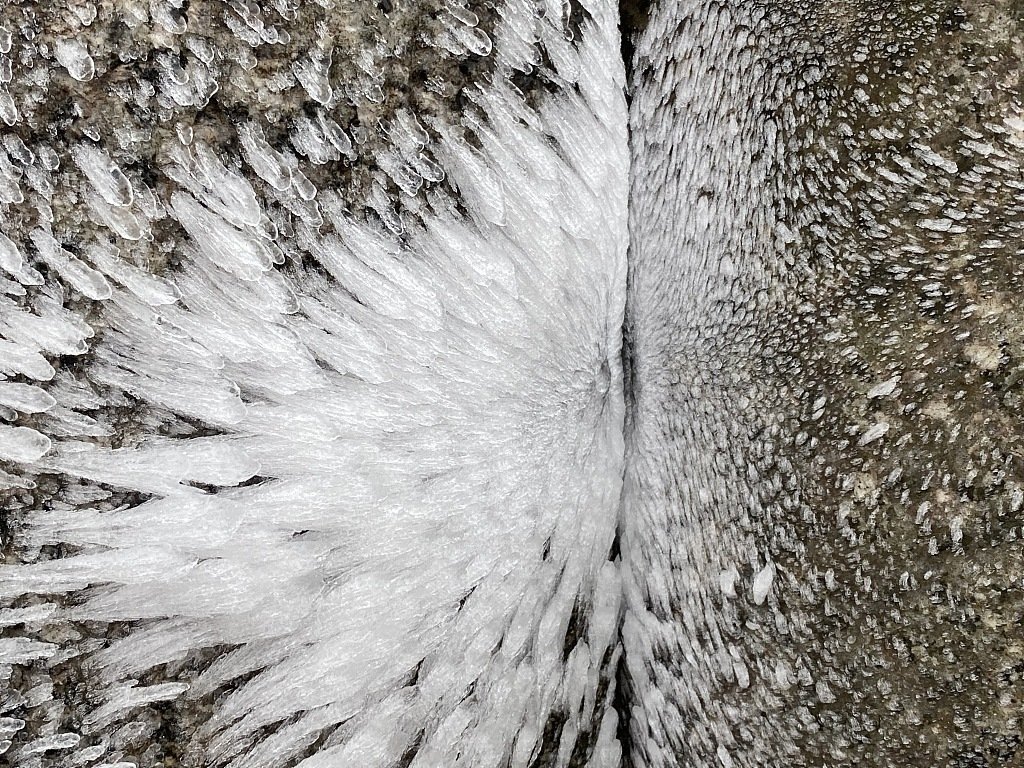 WindowonChina's tweet image. المشهد السحري للأشجار المغطاة بالصقيع في منطقة دونغشي ذات المناظر الخلابة بمقاطعة فوجيان بشرق الصين ، يجذب حشود السياح

 #中國  #China #Window_on_China  #中国之窗 
#الصين  #غرائب #سفر  #سياحة #نافذة_على_الصين