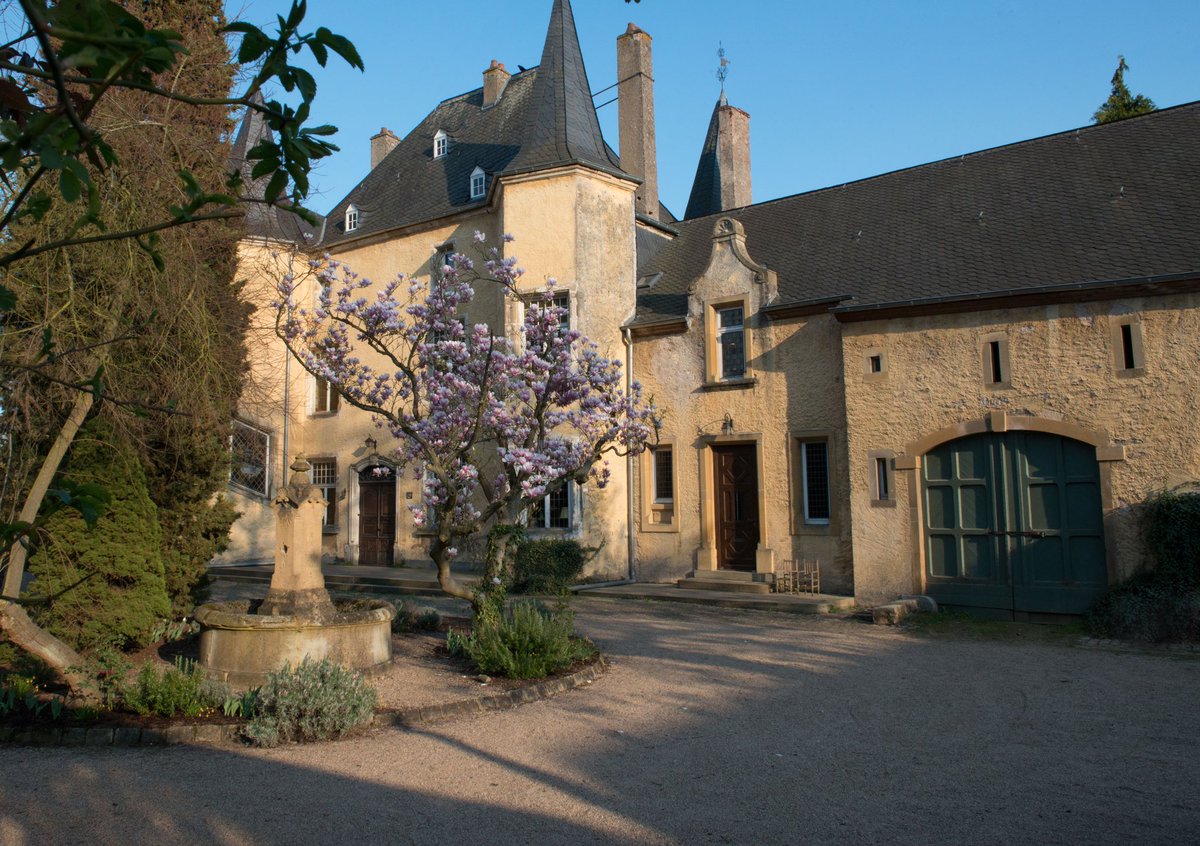 Château de Wintrange tweet media