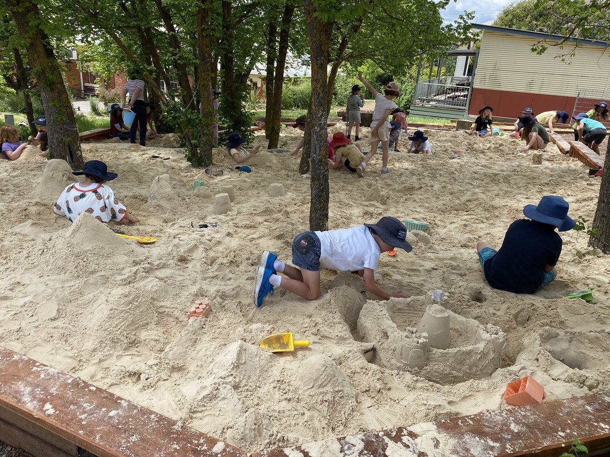 Taradale Primary Sch tweet media