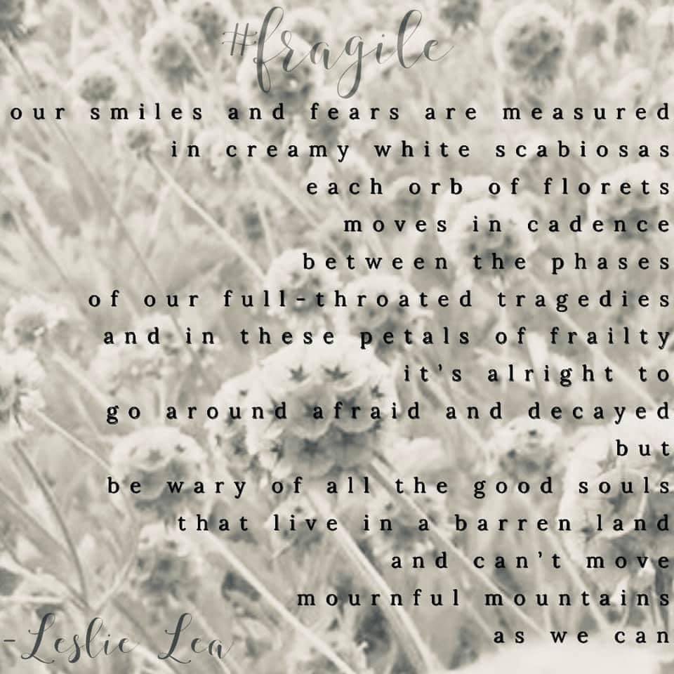 PShmoetry's tweet photo. This weeks poetic contributions to our “#Fragile” theme!

First two poems by Meagan Quintero
IG:https://t.co/9WMD3IIwi0 

Third poem by Leslie Lea
IG:thebohemianoutpost 

#poetryshmoetry #poetrycommunity #poems #demons #control #cage #damage #sobriety #cloudnine #scabiosas #poet https://t.co/uRKNL6WXlK