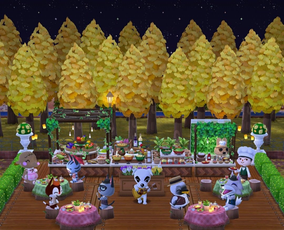 pc_ariadna's tweet photo. The perfect dinner. Quiet music, good food and a starry night ✨💚

#ACPCgallery https://t.co/i8fq2KSa83