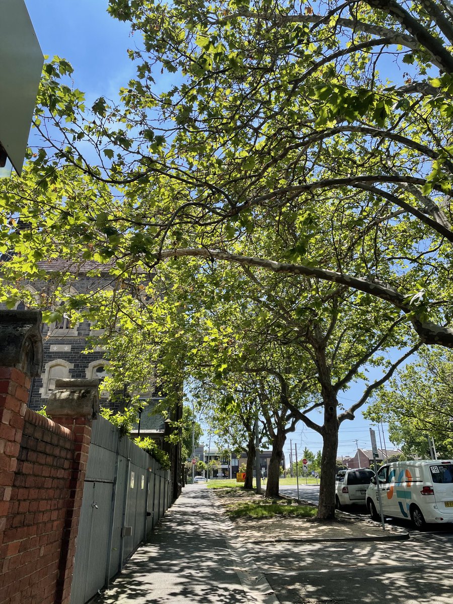 rebeccamcphail8's tweet photo. I love riding through the back streets of Richmond & Fitzroy on my way to the pool. Itβs a beautiful day for a swim!! Good to see friends back at the pool too! β¦@YarraLeisureβ© ππΌββοΈπ΄πΌββοΈπ»βοΈ#swimmingisback #melbourne #fitzroypool https://t.co/SMLFI5bMl4