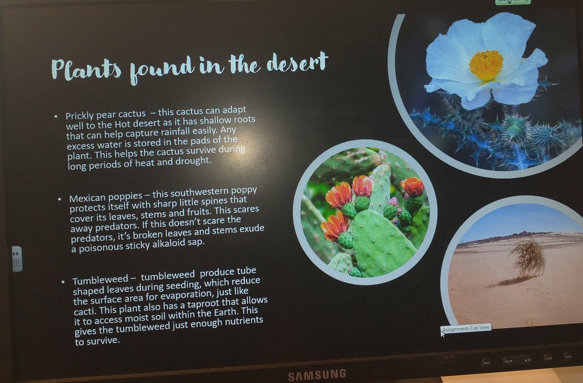 MissCaldwellHHS's tweet photo. Some excellent Biome presentations by S3 to showcase their understanding of plants, animals and human threats to the tundra and the desert. Lots of Level 4s achieved 🏜️🌍 #BGEGeography #ShowcasingExcellence
@HillheadHS @HHS_Humanities https://t.co/VteDPPs8P3