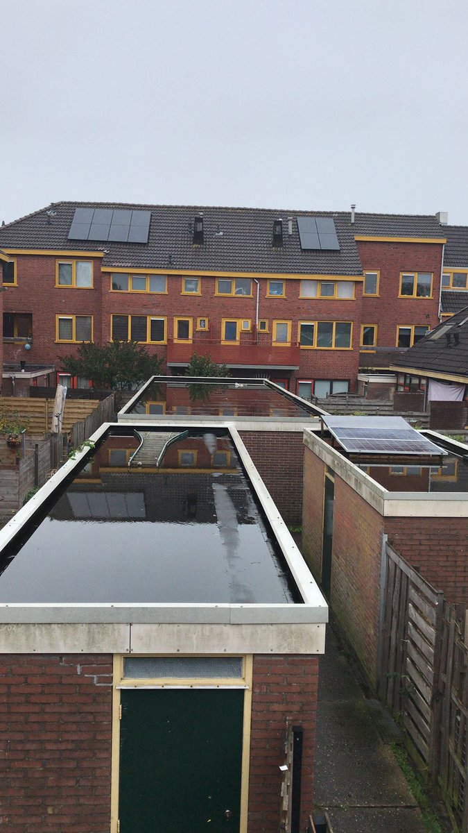 We hebben op een aantal schuurdaken aan de Irislaan van @Nijestee  sedum gelegd. Dat ziet er echt totaal anders uit. Mooi toch, of niet?! Zoek de verschillen 😀