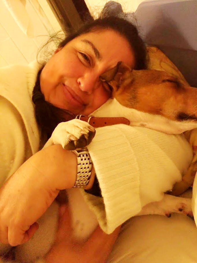 Lego_Lilli's tweet photo. “I realized when you look at your mother, you are looking at the purest love you will ever know.” 
– Mitch Albom
#lego #jackrussel #mystory #mymom #motherslove #love #purestlove #bestmom #thankful #happydog #dogs #dogslife #dogsoftwitter https://t.co/F2kWMDUG3q
