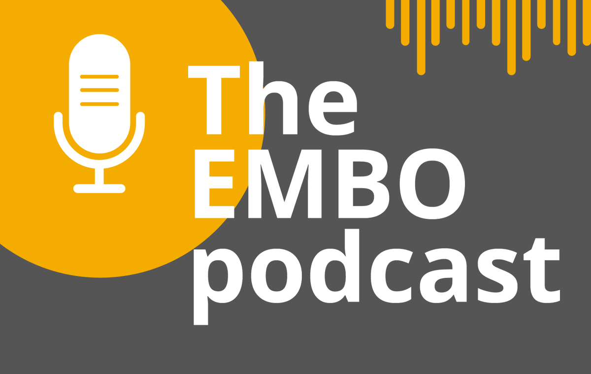 EMBO's tweet photo. New #EMBOpodcast: Interview with @ERC_Research President and former EMBO Director @mleptin about how she became a scientist, uneven spread of funding support across Europe, and scientific questions that she will leave behind as she winds down her lab https://t.co/RNWyzpKuZz https://t.co/REQgKLAcc0