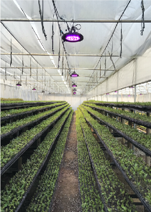 cet_thinkagro's tweet photo. 👍Proveedor Tecnológico
Bienvenido #Paraled a #AgroTechMaule21 🔜 18-11.
Paraled es un sistema que acelera el crecimiento de las plantas, flores y hortalizas todo el año. 
https://t.co/sv41PLUAQt iluminación para plantas inteligentes

 #agro #agroindustria #tecnología #maule https://t.co/7c65l9Y8QG