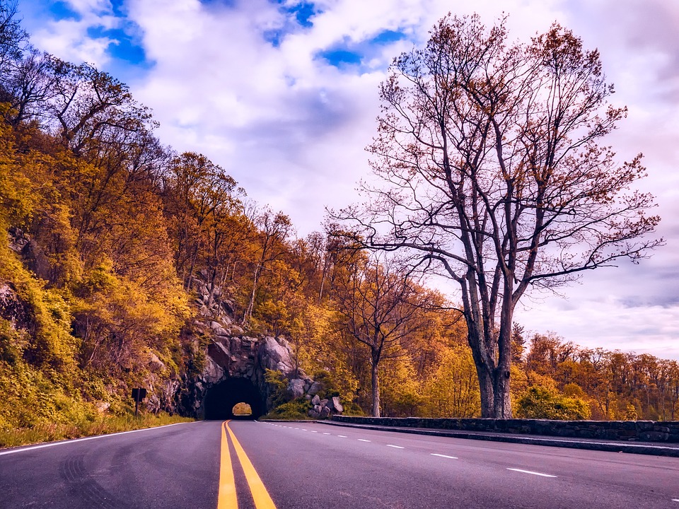 CleverpandaUK's tweet photo. #HappyFriday everyone! Who else is considering taking a new path to somewhere exciting this weekend? https://t.co/dvalC21QSs