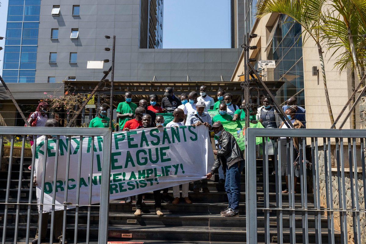 Kenyan Peasants League tweet media