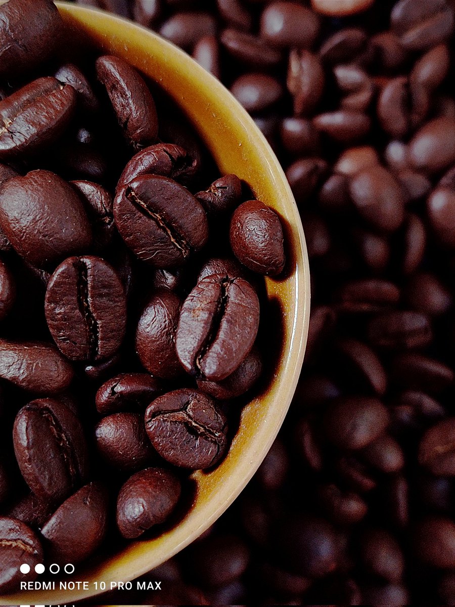 Parthac121's tweet image. In Love with coffee beans...
#RedmiNote10proMax #ShotOnRedmi #coffee #CoffeeLover 

@RedmiIndia @manukumarjain @RoyNeelanjan @sandeep9sarma @PrateikDas @bhavyamaniar