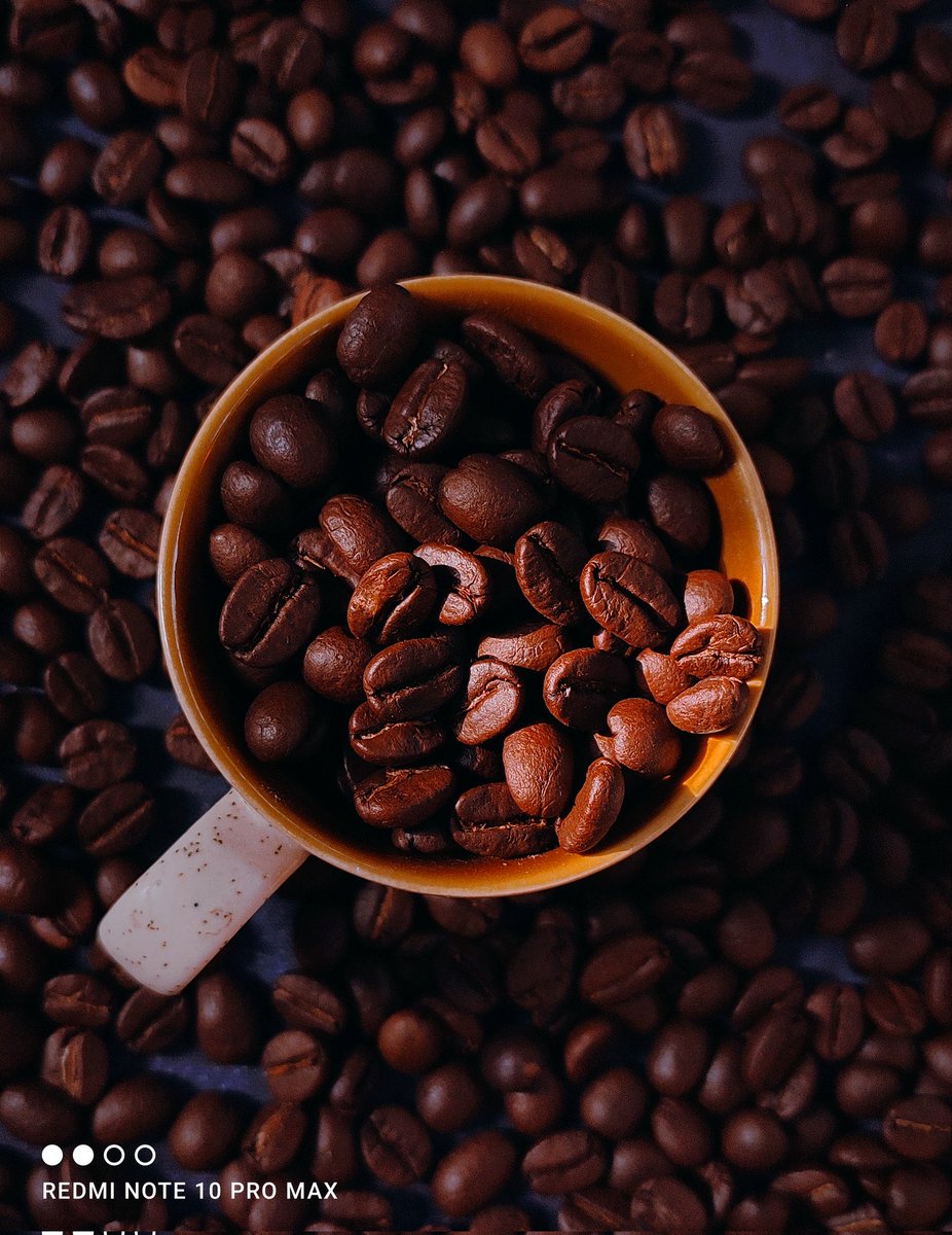 Parthac121's tweet image. In Love with coffee beans...
#RedmiNote10proMax #ShotOnRedmi #coffee #CoffeeLover 

@RedmiIndia @manukumarjain @RoyNeelanjan @sandeep9sarma @PrateikDas @bhavyamaniar