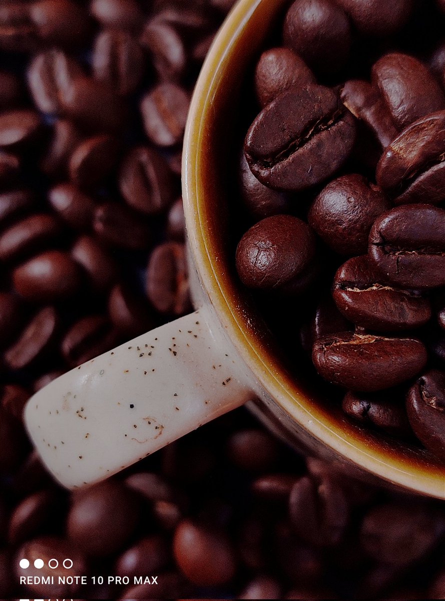Parthac121's tweet image. In Love with coffee beans...
#RedmiNote10proMax #ShotOnRedmi #coffee #CoffeeLover 

@RedmiIndia @manukumarjain @RoyNeelanjan @sandeep9sarma @PrateikDas @bhavyamaniar