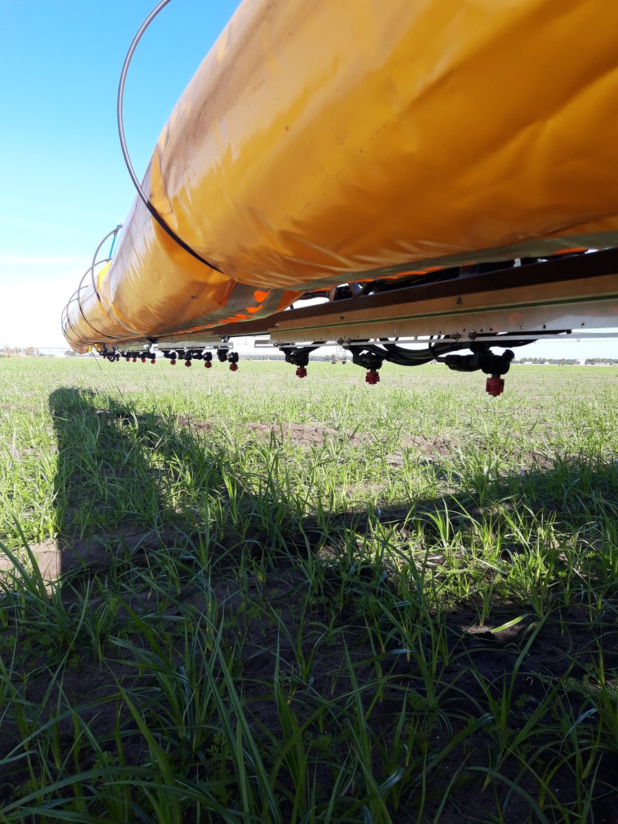 Optima_IPM's tweet photo. 🚜🥕#Optima_IPM smart carrot sprayer at the pilot field in Nouvelle-Aquitaine region, #France. The smart sprayer is based on an existing field crop sprayer, #PrestigeAir by #CAFFINI
#H2020 #agriculture #technology #innovation #spraying #smartfarming https://t.co/sxkDA4bRO4
