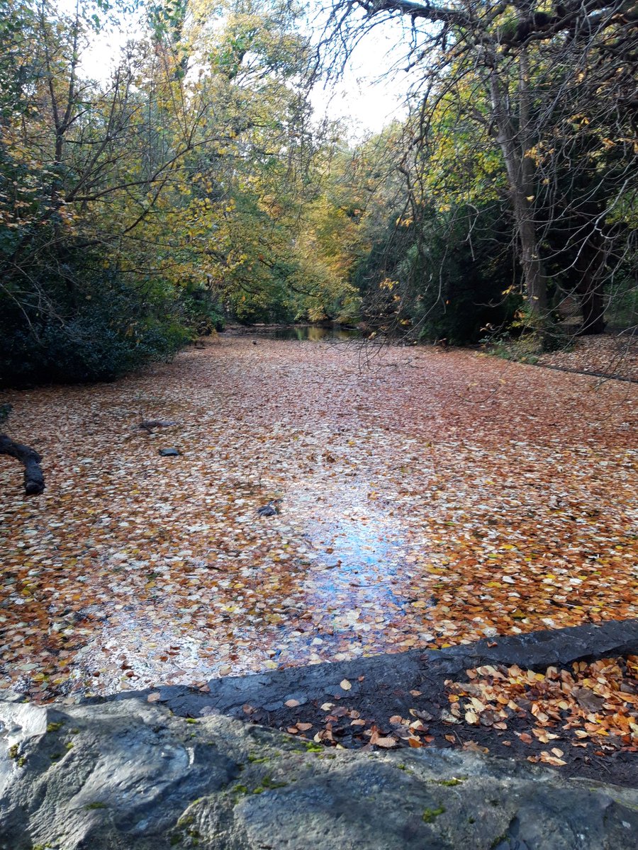 Autumn's looking very pretty