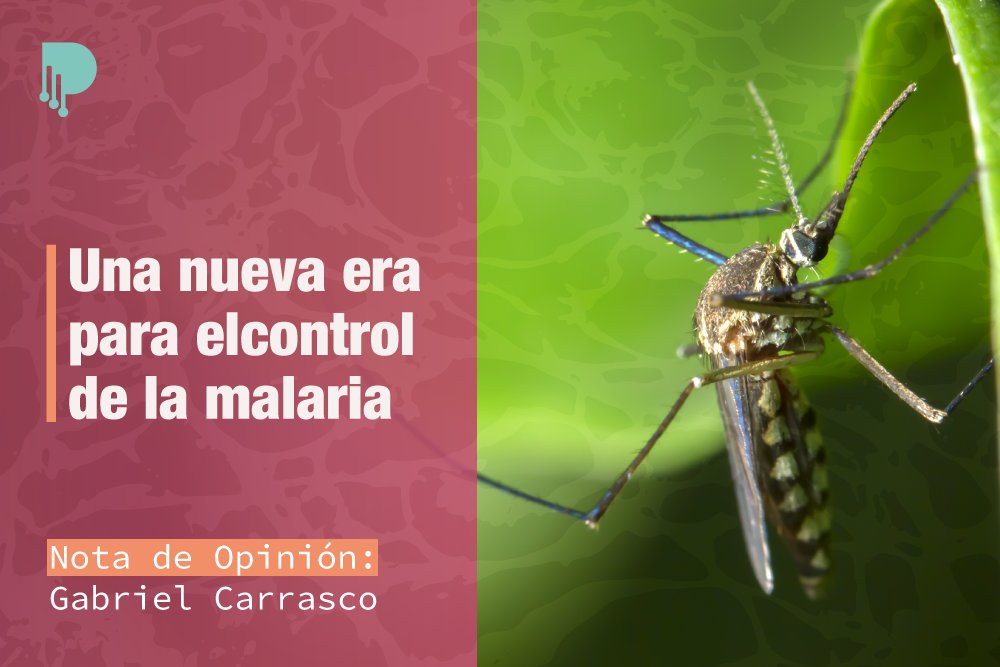 pendulum_pe's tweet photo. ¿Por qué celebramos tanto una nueva vacuna contra la malaria que ha tardado más de 30 años en desarrollarse y tiene una efectividad menor o igual al 50%?
➡️ https://t.co/S1uiTmUSgn https://t.co/6uuIdRbGk9