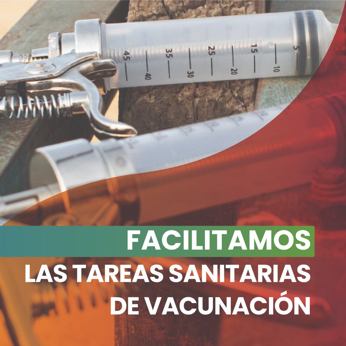 VillaNuevaArg's tweet photo. ¡VILLANUEVA acerca a tu comercio la más extensa línea en #SaludAnimal. Para vacunación 💉, agujas y jeringas, fabricadas bajo los más altos estándares de calidad, ofreciendo una mayor durabilidad. ¡Encontralas en https://t.co/Eadf2iE9RT! https://t.co/V2sp8fCQOA