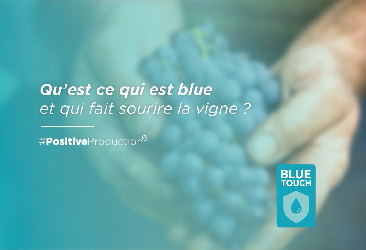 DESANGOSSE's tweet photo. [ Qu’est ce qui est🔵blue et qui fait sourire la #vigne ? 🍇]
 ⌛️Rendez-vous dans quelques jours avec le #biocontrole qui a déjà protégé plus de 2 millions d'hectares en 10 ans.
Une idée ? 🤔
Restez connecté ! 
#BlueTouch par @DESANGOSSE https://t.co/eYlG8qBubU