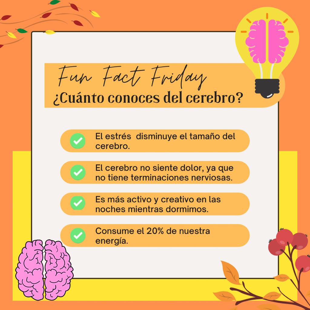 NamiUprrp's tweet photo. 🔍 Fun Fact Friday💡

¿Cuánto conoces del cerebro?🤔🧠

#funfactfriday #namioncampus #NamiUPRRP https://t.co/KDo4wORAM2