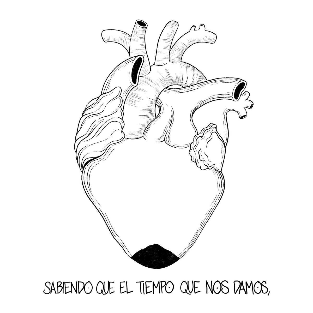 🥀⌛️ 2/2 