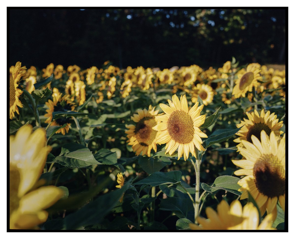 Bijan Sabet tweet media