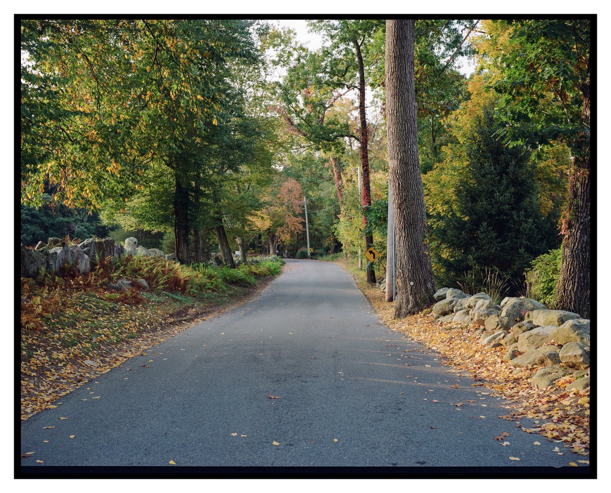 Bijan Sabet tweet media