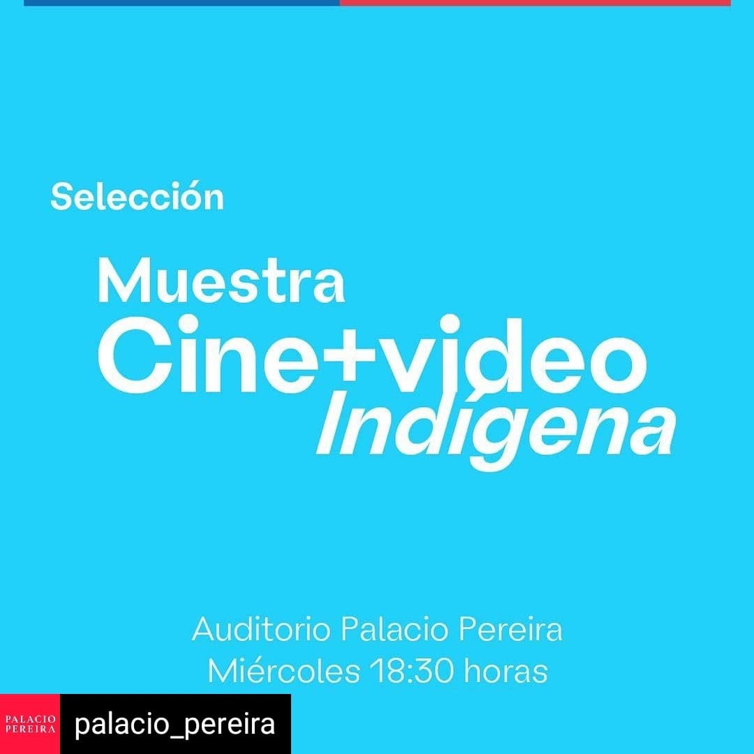 cineindigena's tweet photo. Sesiones presenciales los miércoles, a las 18:30 hrs. en  #PalacioPereira. @PPereira_cl

La selección aborda temas de Derechos Humanos, Identidad, Territorio, Autonomía, Diversidad y Lenguas.
Visionados incluyen dos conversatorios con realizadores. 
 https://t.co/PFI9W2Ay53 https://t.co/aHqyWzroft