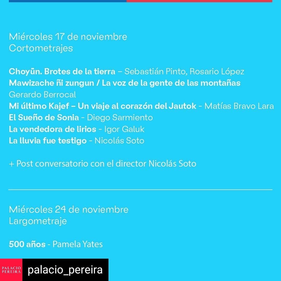 cineindigena's tweet photo. Sesiones presenciales los miércoles, a las 18:30 hrs. en  #PalacioPereira. @PPereira_cl

La selección aborda temas de Derechos Humanos, Identidad, Territorio, Autonomía, Diversidad y Lenguas.
Visionados incluyen dos conversatorios con realizadores. 
 https://t.co/PFI9W2Ay53 https://t.co/aHqyWzroft