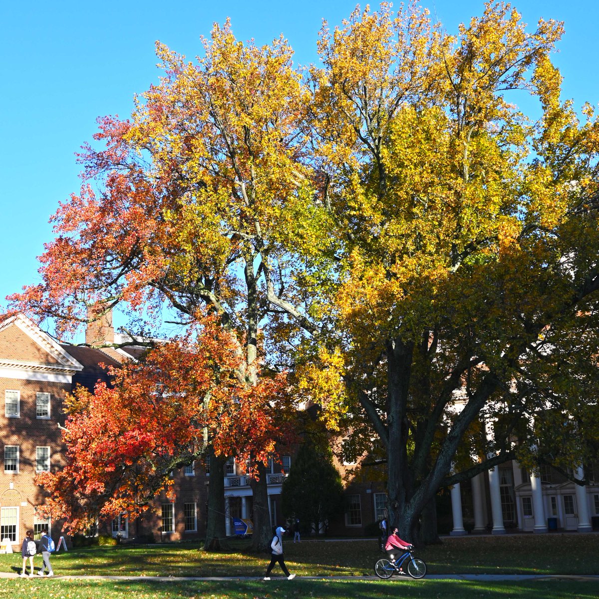 FarmerSchoolMU's tweet photo. It's a textbook fall morning at the @FarmerSchoolMU and @miamiuniversity. Have a great weekend, everyone (and good luck to @MiamiOH_FH as they travel to Michigan for the next round of the NCAA tournament today) #MyFSB #MiamiOH #LoveandHonor #FallforMiami https://t.co/noMD1gU1b9