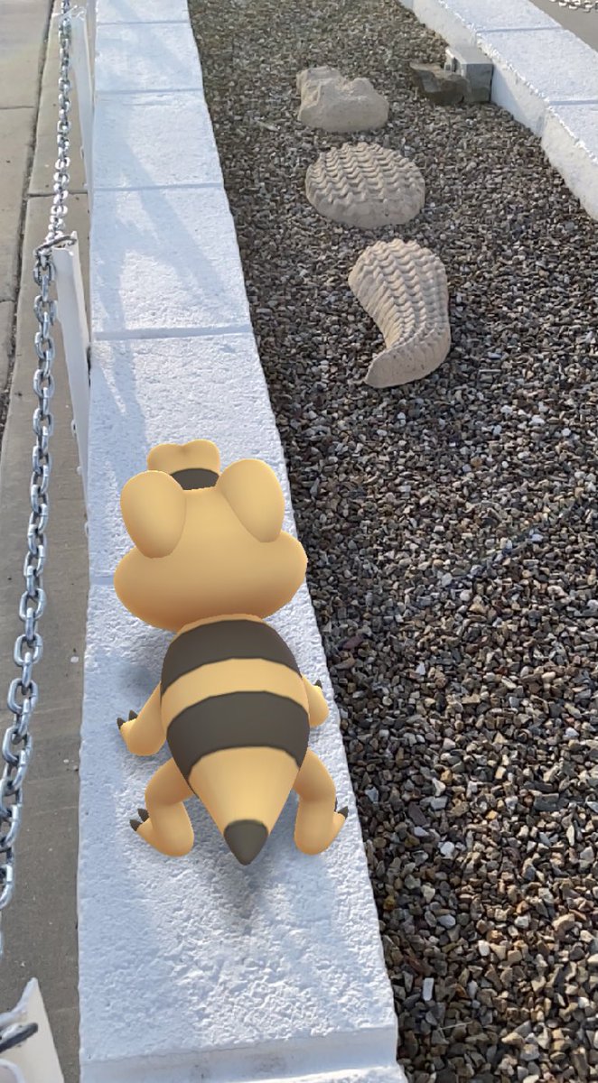 ElSegund_'s tweet photo. 🐊
#PokemonGO #GOsnapshot @PokemonGoARplus @pokemongoarpics https://t.co/qZv87i7QvR