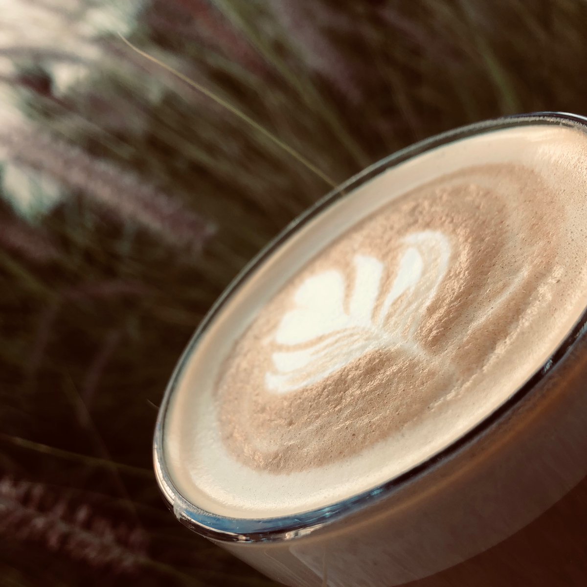 HacklPanaderos's tweet photo. Bonito viernes y tu café ya te está esperando! Y con qué pan vas a acompañarlo?#hacklpanaderos #cafe #cafeenhackl #panycafe https://t.co/CvOu07NW9Q