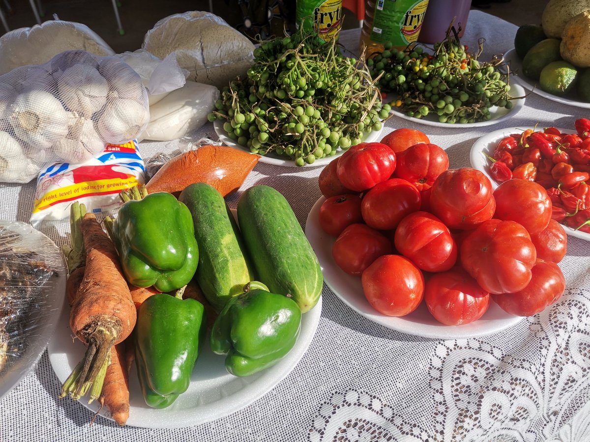 FAOGhana's tweet photo. @FAOGH and #WIAD @_GHSofficial of the Ministry of Food and Agriculture 🇬🇭 #CSIRCRI ssisting vulnerable households and communities acquire basic knowledge of nutrition especially importance of consuming diversified diets https://t.co/pb92WZ0TAN