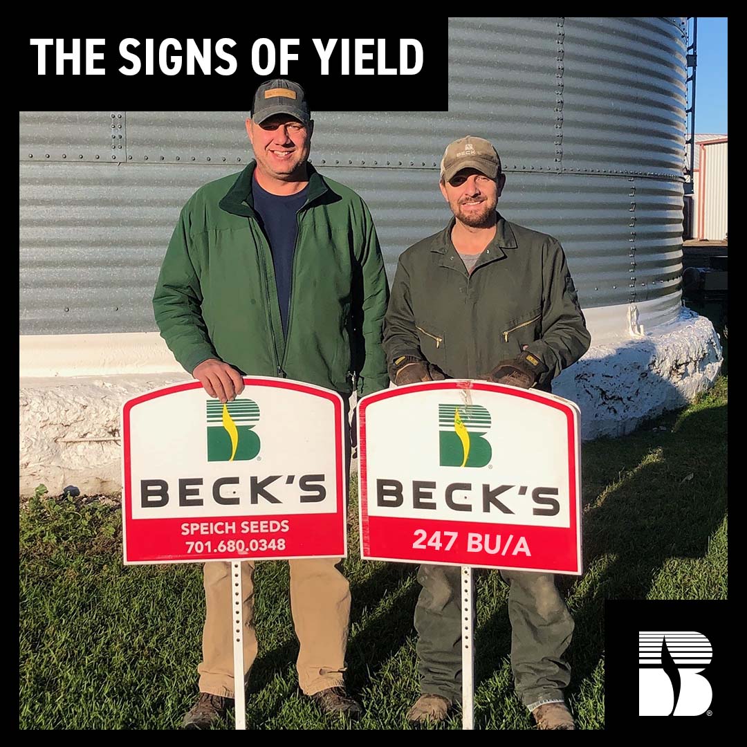 BecksHybrids's tweet photo. Signs of Yield from the Field!

Scott Mund and Dean Blair of S&amp;T Mund Farms from Milnor, ND, yielded 247 Bu./A. across 104 acres at 17.6% moisture with BECK 5277SXbrand corn!

Lookin' good! 👌

#SignsofYield #FromtheField #Harvest2021 https://t.co/tr1qw8iKDy