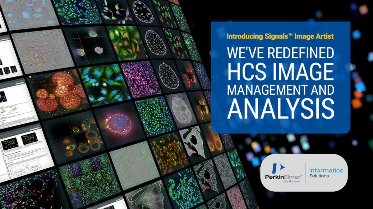 RevvitySignals's tweet photo. Introducing Signals™ Image Artist the fast, efficient image analysis and data management that integrates with Signals™ VitroVivo. Welcome to the future of high-content screening.
Learn more at https://t.co/kH0yLdgaXj.
#SignalsResearchSuite #HCS #highcontentscreening #3D https://t.co/UFMj4FJnqU