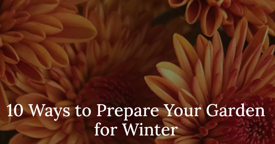 10 Ways to Prepare Your Garden for Winter.
ow.ly/NnY950GMc5u
#midwestgardening