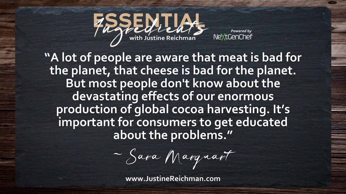 _NextGenChef's tweet image. Did you know? 
Cocoa is a very controversial ingredient! Hear about the dark side of cocoa, its effects on the future of the food industry and what we can do about it in the present from QOA’s sibling duo, @_MaxMarquardt and @saramarquart 

justinereichman.com/podcast-episod…

#cacao #farm