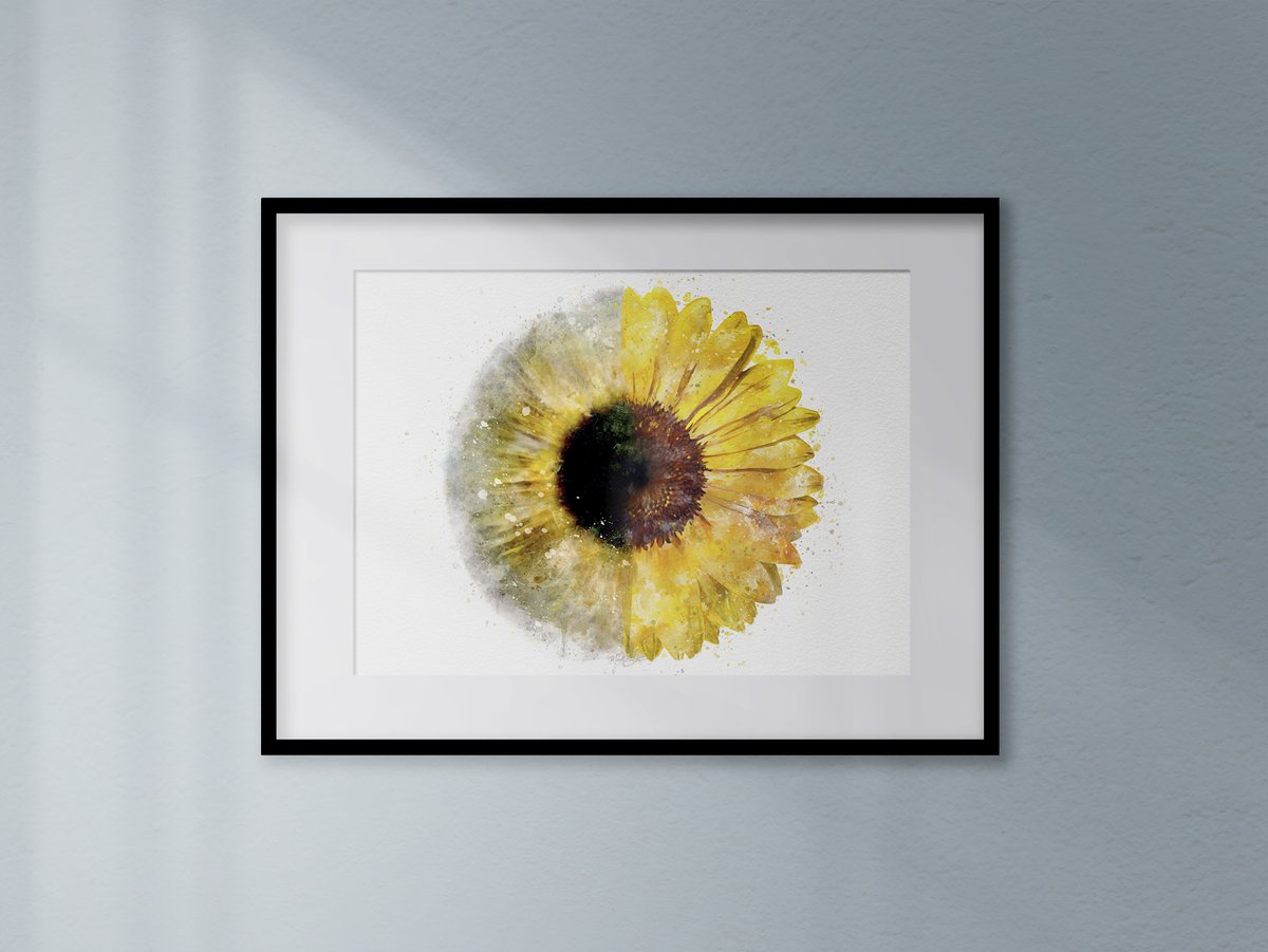 MedicalArtist's tweet photo. Sunflower... nature’s iris.
Fine art quality, 100% cotton rag giclée prints - link in my bio.

#iris
#sunflower
#eyeart
#ophthalmology
#ophthalmologist
#optometrist
#optometry
#eyedoctorgift
#phaco
#phacoemulsification
#medicalartist
#medicalillustration
#digitalpainting https://t.co/B8SXPPqy20