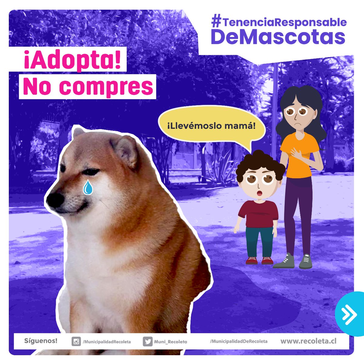 Muni_Recoleta's tweet photo. 🐶🐾🤎🐱 La ley de tenencia responsable de mascotas implica una serie de obligaciones, dentro de las cuales están la salud de tu mascota. 👩🏻‍⚕️Por eso, el municipio dispone del consultorio veterinario que atiende previa hora telefónica, llamando al 👉🏼229457350. #NoSonMuebles https://t.co/ZnO0VgmFg4
