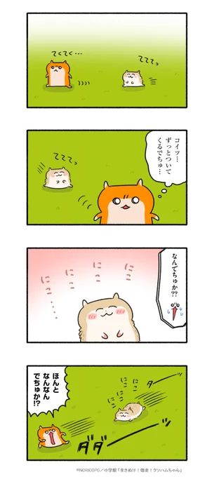 ついてくるなでちゅ #コビハムちゃん 