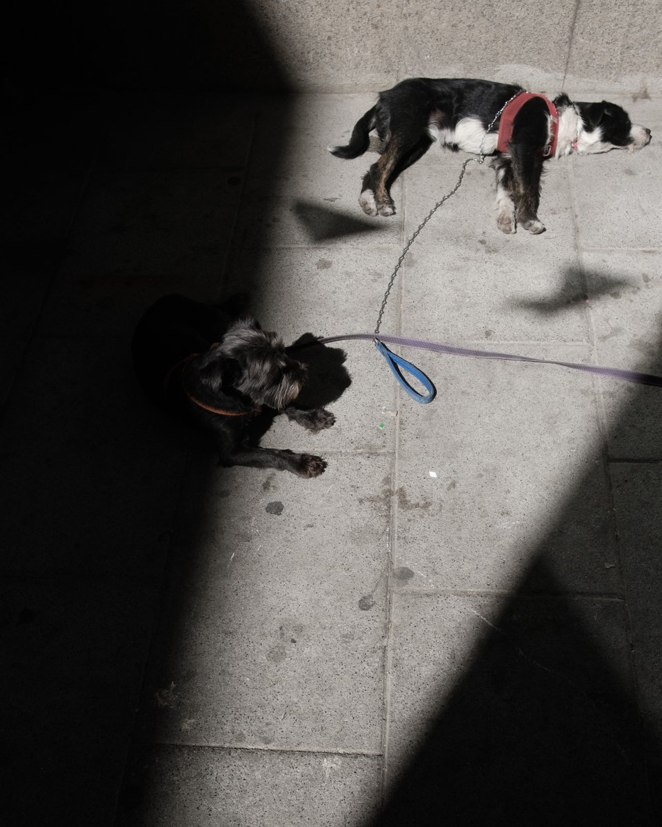 jfernandoeste's tweet photo. Una de las primeras frases que recuerdo en mi recorrido fotográfico es (y parafraseo) “el reto no es fotografiar algo nuevo sino lo cotidiano de manera novedosa” . Un par de intentos. https://t.co/jDv7gPJvzR