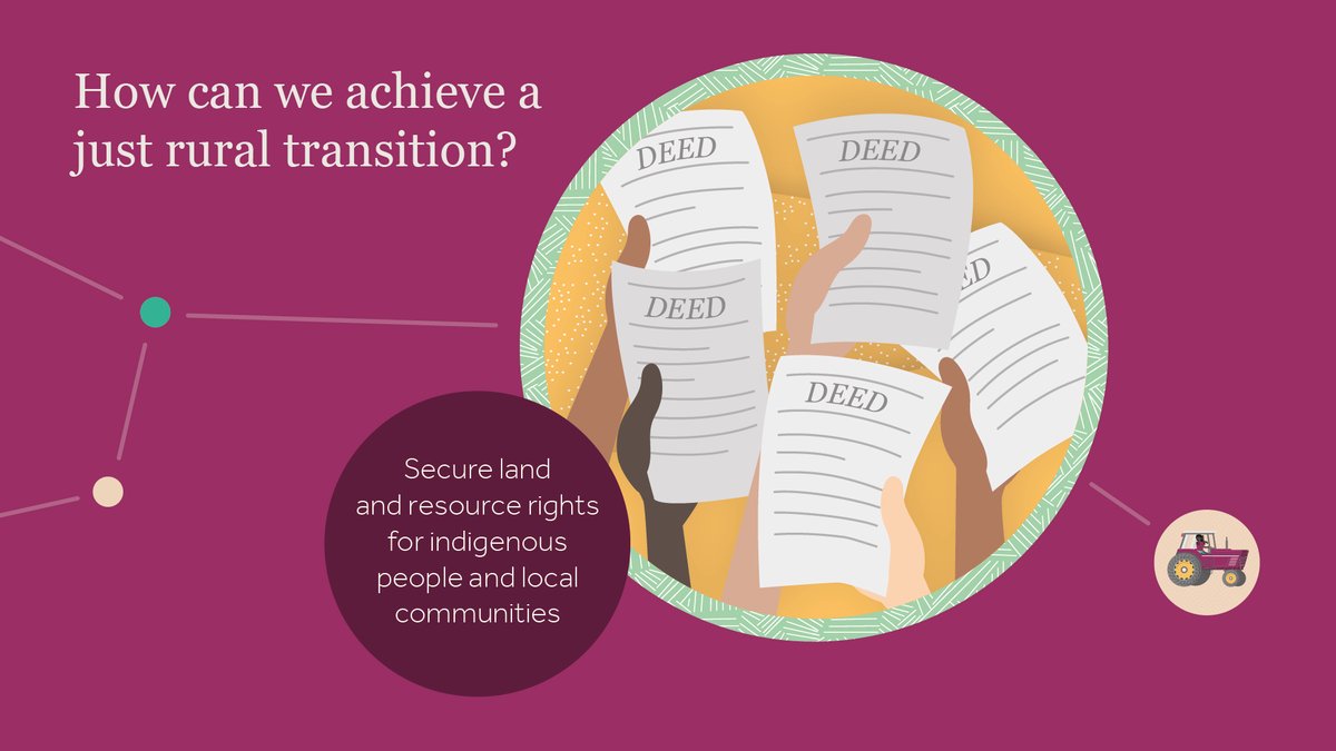 JRTransition's tweet photo. 🤝 How can we achieve a #JustRuralTransition?

Recognising and securing the land tenure and resource rights of #IndigenousPeoples and local communities is essential for creating #sustainable food systems

🔗 https://t.co/tC0V7vRhg1

#COP26 #TogetherForOurPlanet #FixFoodSystems https://t.co/aSd7a9jUwA