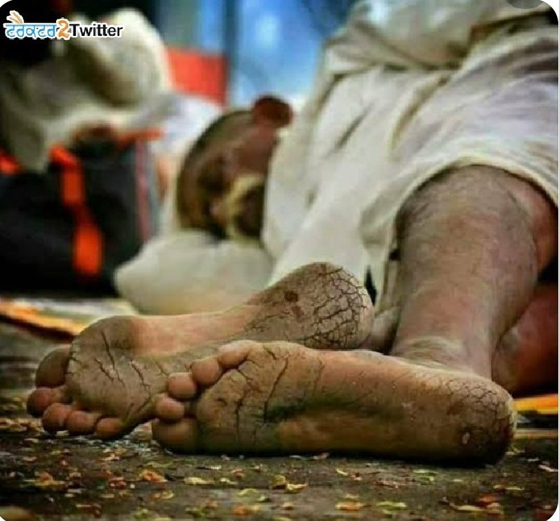 0Vaibhav_thakur's tweet photo. अगर किसानों को दषकों से फसलों का MSP मुल्य मिला होता तो आज जैसी बद्तर हालत ना होती।
किसानों की इस हालत की जिम्मेदार सरकार है।
#Modi_Where_Is_MSP
#किसान_अब_तख्तापलट_करेगा https://t.co/j4MhptcCFc