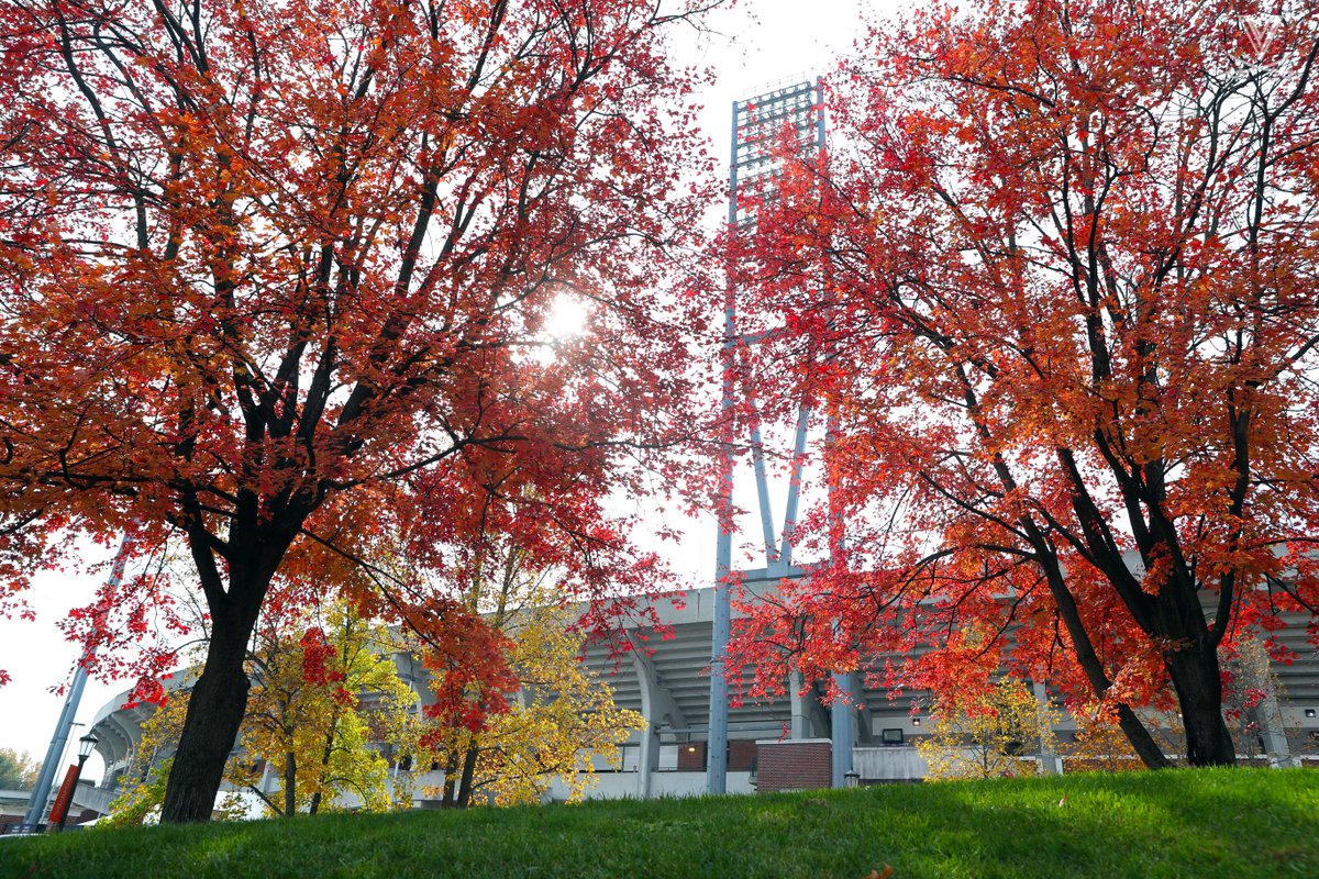 VirginiaSports's tweet photo. 🍂 Falling in love with Grounds this time of the year!
 
#GoHoos https://t.co/OxGHz2d8rv