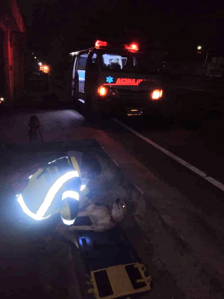 BVoluntariosGT's tweet photo. Km. 28.8 jurisdicción de San Lucas Sacatepequez, canino fue atropellado; Bomberos Voluntarios 31 Cía. aplicaron primeros auxilios al afectado, fue trasladado a la sede bomberil. https://t.co/r3LRkNRneP