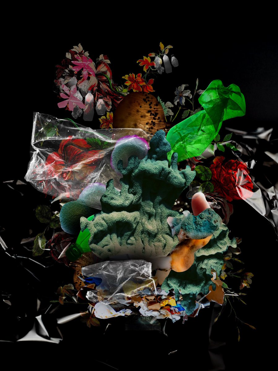 Historically, mould was depicted in still life paintings as a symbol of human death and decay. Now, the question of waste, unnecessary food production and mass of garbage is an important issue for me. My goal is to create images which are both beautiful and disgusting.
It's life.