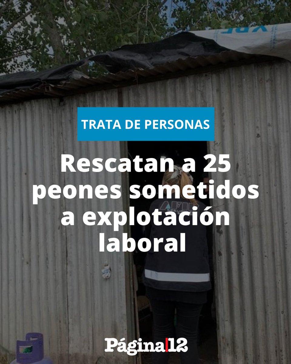pagina12's tweet photo. TRATA DE PERSONAS
Autoridades de la Provincia de Buenos Aires rescataron a 25 trabajadores rurales cuyas jornadas de trabajo eran de lunes a lunes y de más de 12 horas, vivían en en condiciones precarias, sin baño ni vestimenta adecuada para trabajar. [https://t.co/tsxq0QBTKb] https://t.co/VQnzEzkR2C