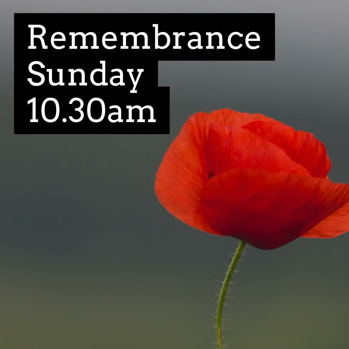 EdgbastonChurch's tweet photo. This Sunday our 9.15 and 11.00 congregations join together for a special Remembrance Sunday service, at 10.30am. There'll be Sunday School during the service for 3s-11s, a cake stall afterwards, and at 11.00 we will observe two minutes' silence as part of our Act of Remembrance. https://t.co/WtkbVYcfpP